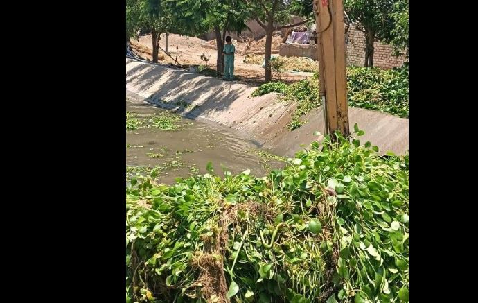 كوم حمادة: رفع مخلفات وتطهير ترعة فرهاش لتحسين كفاءة الري بالبحيرة