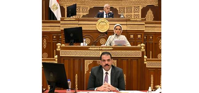 مجلس الشيوخ يناقش تقرير لجنة الشئون المالية والاقتصادية والاستثمار