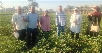   الفيوم: إطلاق طفيل “التريكوجراما” لمكافحة الآفات بطرق صديقة للبيئة