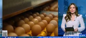 "منتجي الدواجن": إنتاج البيض تجاوز الاكتفاء الذاتي بنسبة تصل إلى 40% وأسهم في تراجع الأسعار