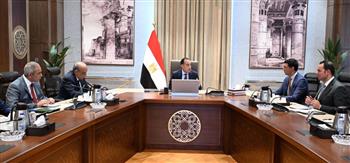   رئيس الوزراء يتابع مبادرة التوسع في الطاقة الشمسية