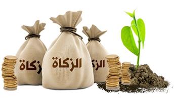   هل يجوز إخراج زكاة المال في صورة منتجات؟