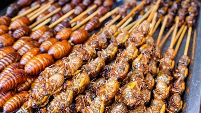 أغرب الأطعمة في العالم.. أطباق تثير الدهشة وتتحدى حاسة التذوق