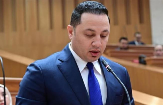 النائب سيد سمير: مصر تقود جهود السلام وتؤكد أولوية القضية الفلسطينية