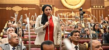   شيرين صبري: الاستثمار في الإنسان والرقابة على الأسعار أساس نجاح خطة التنمية
