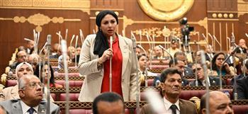 شيرين صبري: الاستثمار في الإنسان والرقابة على الأسعار أساس نجاح خطة التنمية