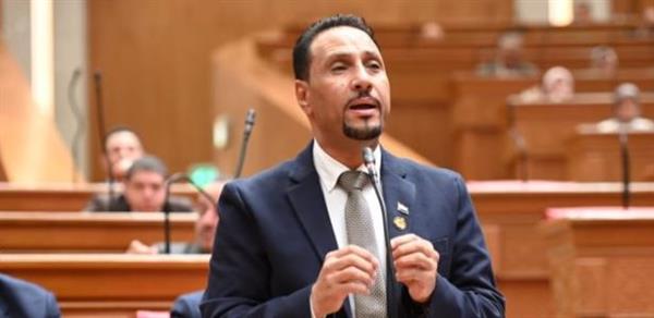 جرجس لاوندي: مصر تقود جهودًا مسؤولة لحماية القضية الفلسطينية وترسيخ الاستقرار الإقليمي