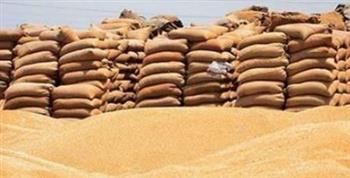   محافظ المنيا: انتظام أعمال توريد القمح واستلام نحو 512 ألف طن