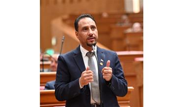   جرجس لاوندي: لقاء الرئيس السيسي والشيخ محمد بن زايد يجسد متانة الشراكة المصرية الإماراتية