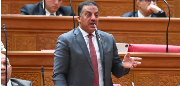 فيصل أبو عريضة يطالب بحملات رقابية بعد واقعة تسمم الشوبك الشرقي