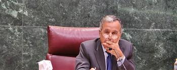 رسالة عربية جديدة بشأن السودان..نبيل فهمي يتمسك بالحل السياسي ووحدة الدولة