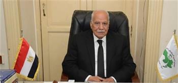   الحزب العربي الناصري: قمة السيسي ومحمد بن زايد تجسد وحدة المصير العربي