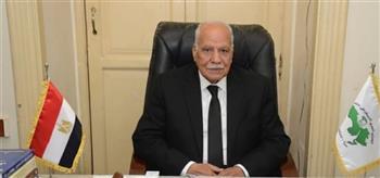 الحزب العربي الناصري: قمة السيسي ومحمد بن زايد تجسد وحدة المصير العربي