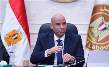 وزير العمل: 3000 فرصة عمل جديدة بمشروع المحطة النووية بالضبعة