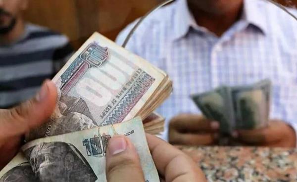 خطوات معرفة الرقم التأميني قبل صرف معاشات أغسطس 2026