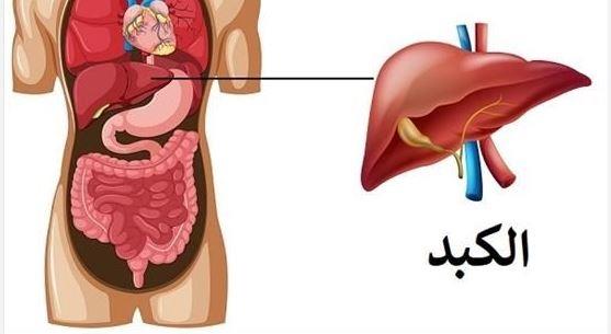 لا تبحث عن منشط للكبد.. السر الحقيقي يبدأ من أسلوب حياتك
