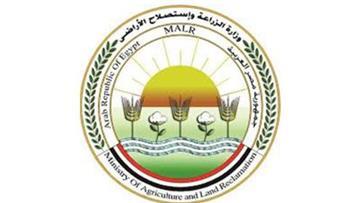 الزراعة تحسم الجدل بشأن مرض الجلد العقدي