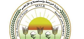الزراعة تعلن إطلاق الخطة  الوطنية الموحدة لإدارة  ملف حيوانات الشارع والتصدي للشائعات 