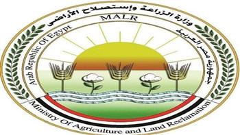   حقيقة زيادة وزن الموز بعد الحصاد.. «الزراعة» تحسم الجدل وترد على الفيديو المتداول