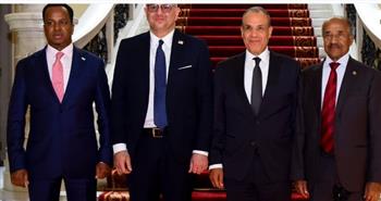   وزير الخارجية يعقد سلسلة اجتماعات بالقاهرة في إطار جهود مصر لدعم السلم والأمن بالقرن الإفريقي