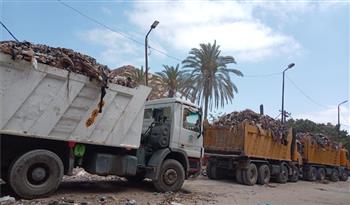   الإسكندرية: رفع 981 طنًا من المخلفات خلال 4 أيام بدعم من "المقاولون العرب"