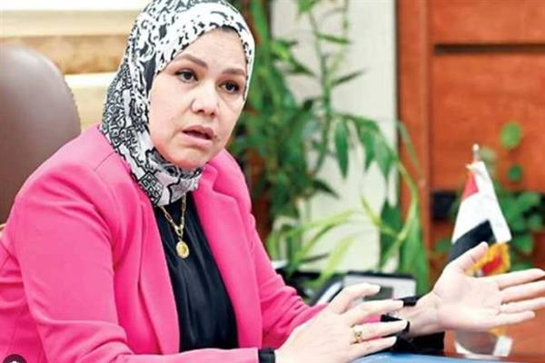 رشا عبد العال: النظام الضريبي المبسط يمثل فرصة حقيقية للمشروعات الصغيرة