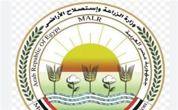 الخدمات البيطرية تنفذ التلقيح الاصطناعي لأكثر من 39 ألف رأس ماشية