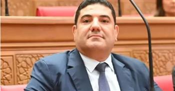   أحمد عبد المجيد: ذكرى 23 يوليو تؤكد قدرة المصريين على صناعة التحولات الكبرى وحماية الدولة