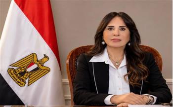   بدء تفعيل إخطار الشركات والمستثمرين بقرارات التخصيص عبر بوابة الاستثمار الأجنبي