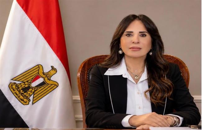 بدء تفعيل إخطار الشركات والمستثمرين بقرارات التخصيص عبر بوابة الاستثمار الأجنبي