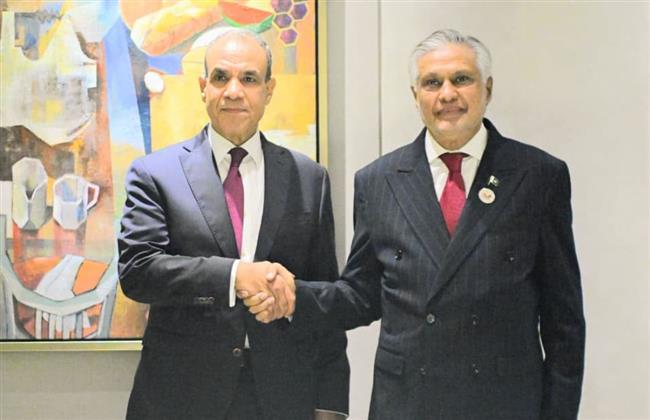 وزير الخارجية يلتقي نظيره الباكستاني