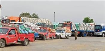   بني سويف.. ​استلام أكثر من 353 ألف طن من الأقماح المحلية بالصوامع والشون منذ بداية الموسم