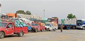 بني سويف.. ​استلام أكثر من 353 ألف طن من الأقماح المحلية بالصوامع والشون منذ بداية الموسم