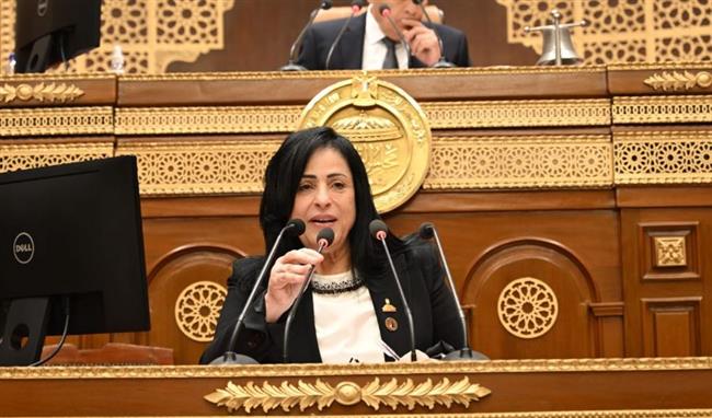 النائبة ميرال الهريدي: كلمة الرئيس في ذكرى 23 يوليو تجسد رؤية مصر للتنمية والاستقرار