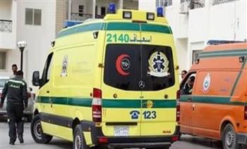   10 مصابين في حادث طريق بوادي النطرون