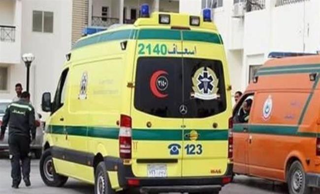 10 مصابين في حادث طريق بوادي النطرون