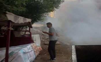 بورسعيد تواصل حملات مكافحة الناموس