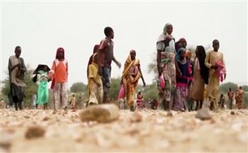   "النرويجي للاجئين": أكثر من 12 مليون سوداني بين نازح داخلي ولاجئ.. والنساء والأطفال الأكثر تضررًا