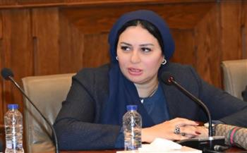   النائبة شيرين صبري تقترح استبدال مسمى "ربة منزل" ببطاقة الرقم القومي بـ"صانعة جيل"