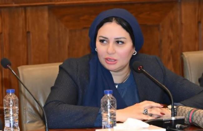 النائبة شيرين صبري تقترح استبدال مسمى "ربة منزل" ببطاقة الرقم القومي بـ"صانعة جيل"