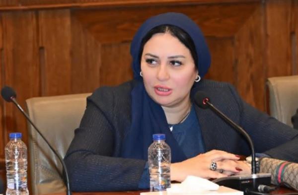 النائبة شيرين صبري تقترح استبدال مسمى "ربة منزل" ببطاقة الرقم القومي بـ"صانعة جيل"