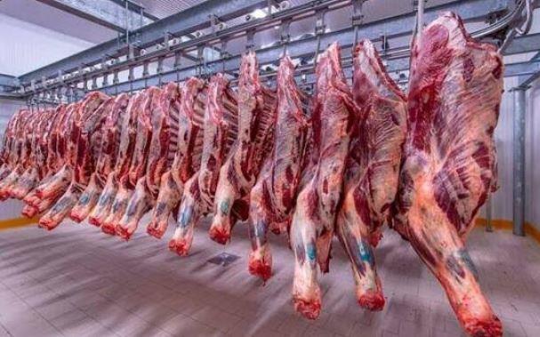 أسعار اللحوم اليوم الثلاثاء.. تعرف على سعر الكيلو