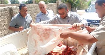   ضبط لحوم وأسماك وألبان وأغذية فاسدة بالمنيا 