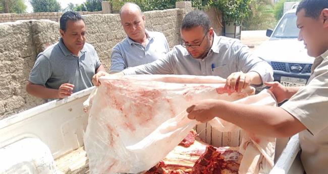 ضبط لحوم وأسماك وألبان وأغذية فاسدة بالمنيا 