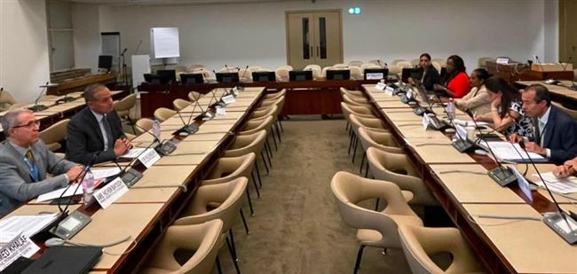 الجامعة العربية: سيادة الدول العربية خط أحمر