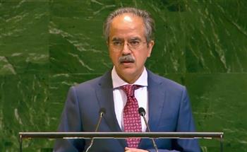   باكستان تدعو الأمم المتحدة للتنفيذ الكامل لخطة السلام بغزة وتحذر من عواقب تأخيرها