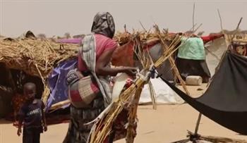 مقرر أممي: ما يحدث في السودان قد يرقى إلى جرائم دولية والدعم السريع يتحمل مسؤولية الانتهاكات