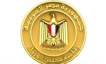   مجلس الوزراء : حريق سفينتي دمياط ناتج عن استهدافهما بطائرة مسيرة