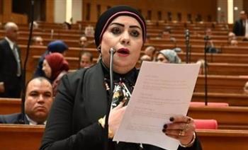 جيهان شاهين: نهج الدولة في الشفافية يعكس قوة مؤسساتها.. وندعم كل ما يحمي الأمن القومي