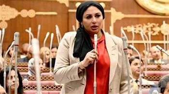 النائبة شيرين صبري: نجاح مصر في قيادة مفاوضات غزة يجسد مكانتها كصمام أمان للقضية الفلسطينية